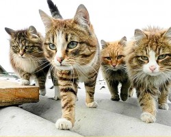 Усидчивость. Как развить усидчивость?