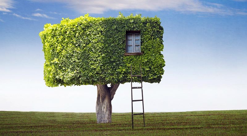 Тест «Дом-Дерево-Человек» - Психолог онлайнПсихолог онлайн
