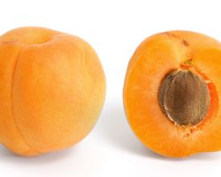 Мораль жизни