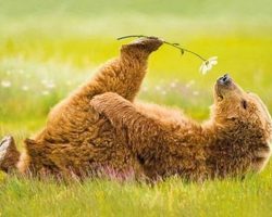 Как радоваться жизни: 15 эффективных советов!