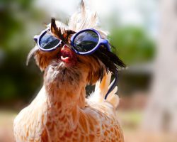 Притча про знания