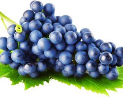 Взаимопонимание