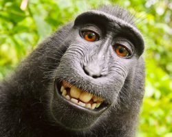 Отпусти и забудь: удобное руководство