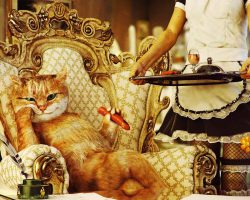 Полноценная жизнь