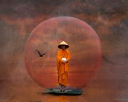 Мудрые слова