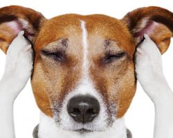 Это поможет преодолеть непонимание между близкими людьми