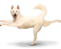 Мнение окружающих