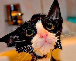 Правильно преодолеете стресс — кардинально поменяете свою жизнь