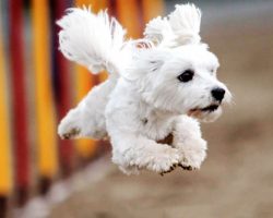 Как понравиться парню?