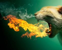 Решение проблем в отношениях