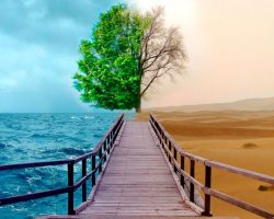 Судьба: фатум или промысел