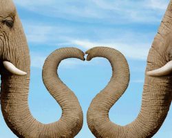 Магия любви: что отдаем, то и получаем