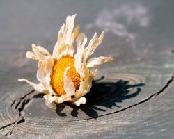 Проблема любви: совет для тех, кто любит